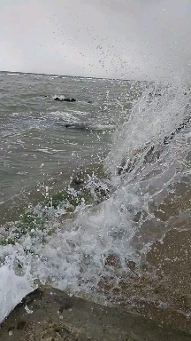 волна, море