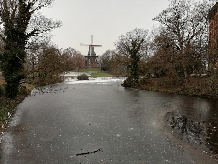 Frozen