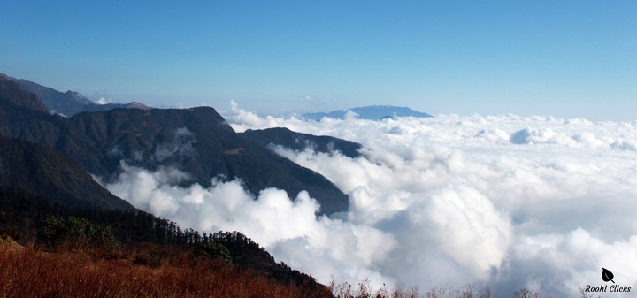 Above the clouds