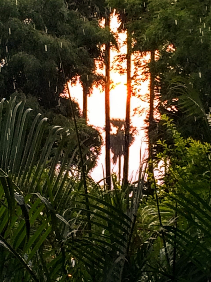 rainy and sunny