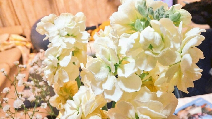 白い花