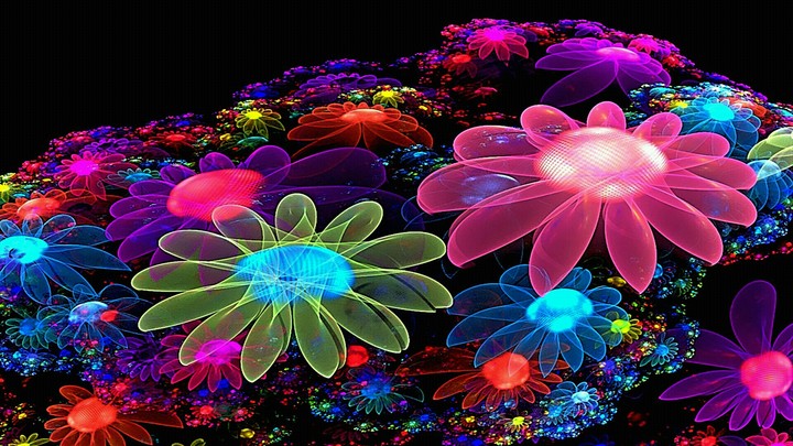 Des fleur limineuse