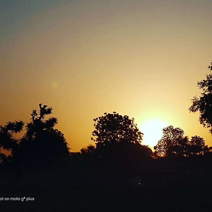 sunrise
