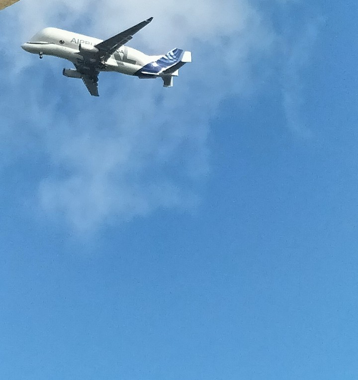 Avions