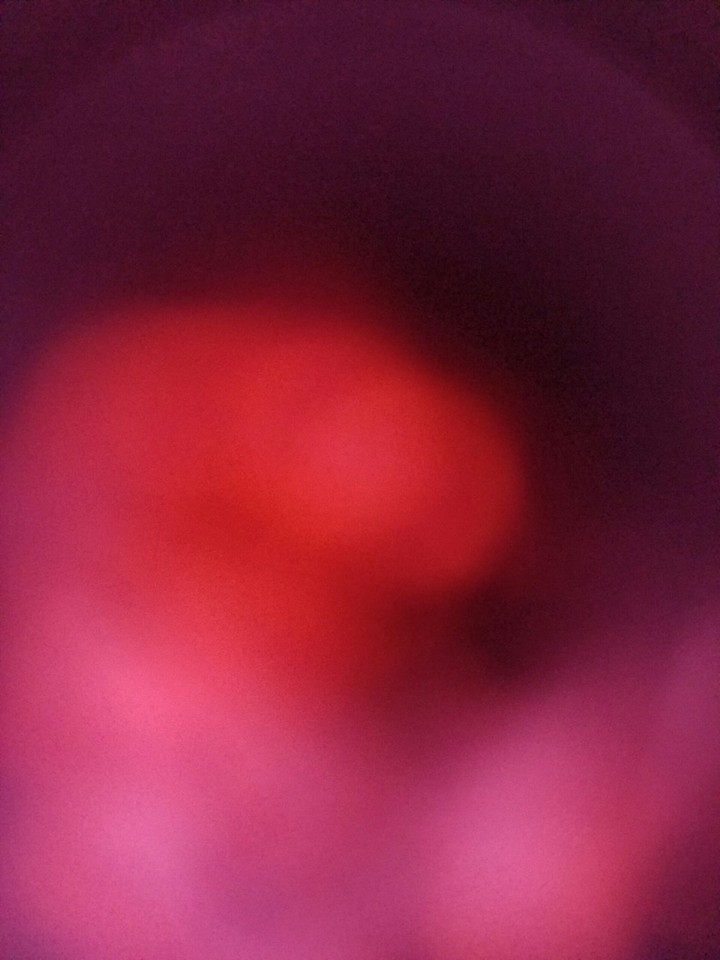 Mysterious Pink Photo
