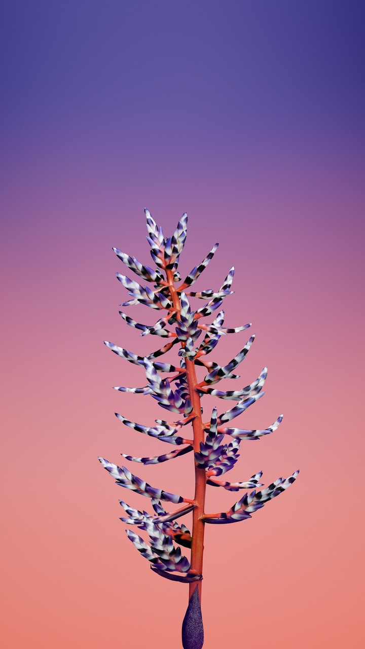 i phone x flower 2
