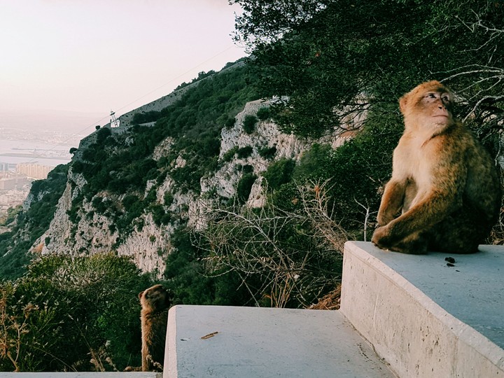 Gibraltar Nature Reserve