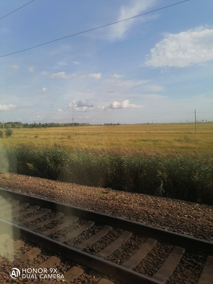 Поле