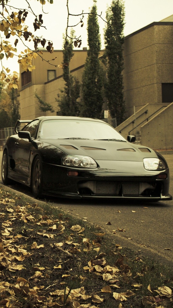 supra