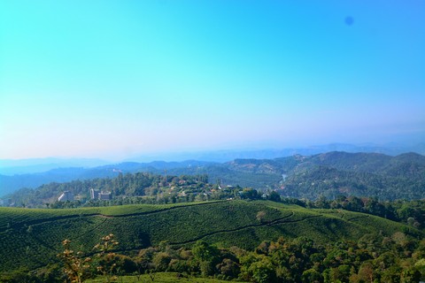 Up on hilltop