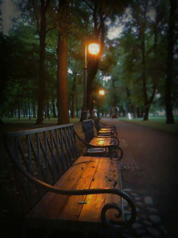 Evening Lights