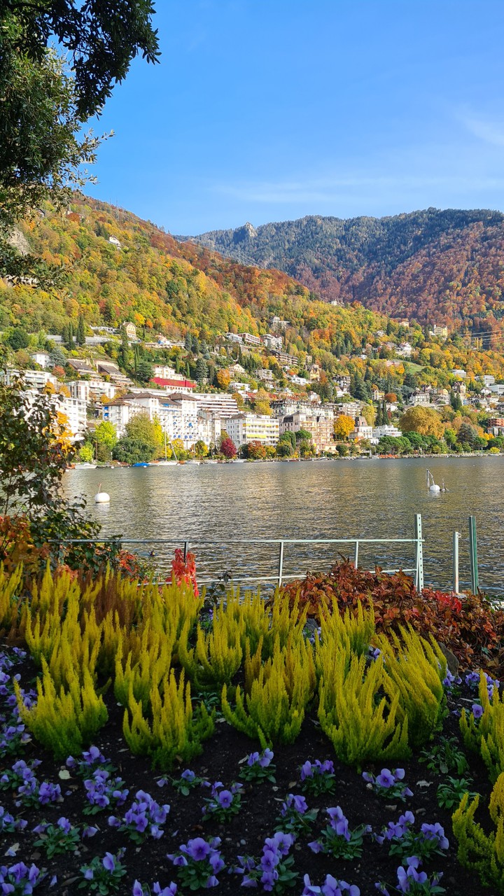 Montreux Riviera