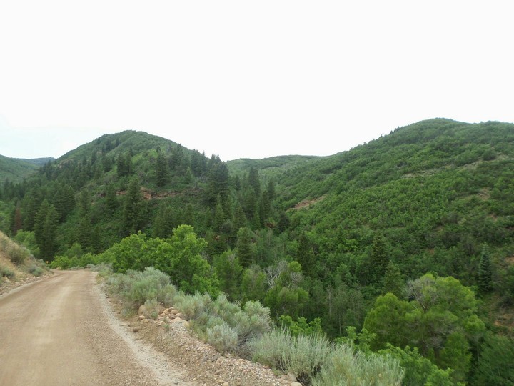 Mountain Trail