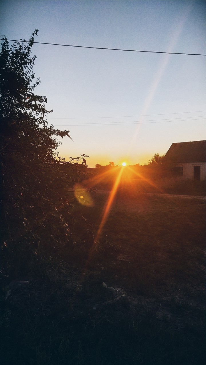 Home