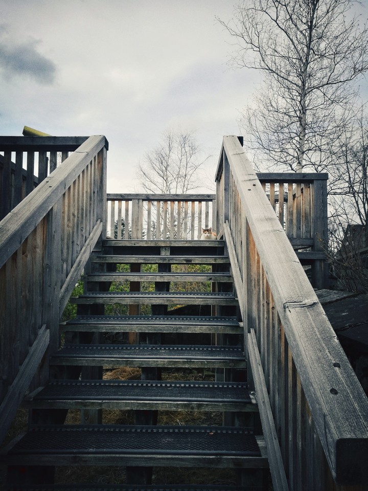 stairs