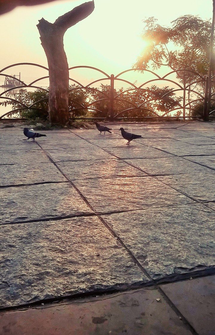 nature