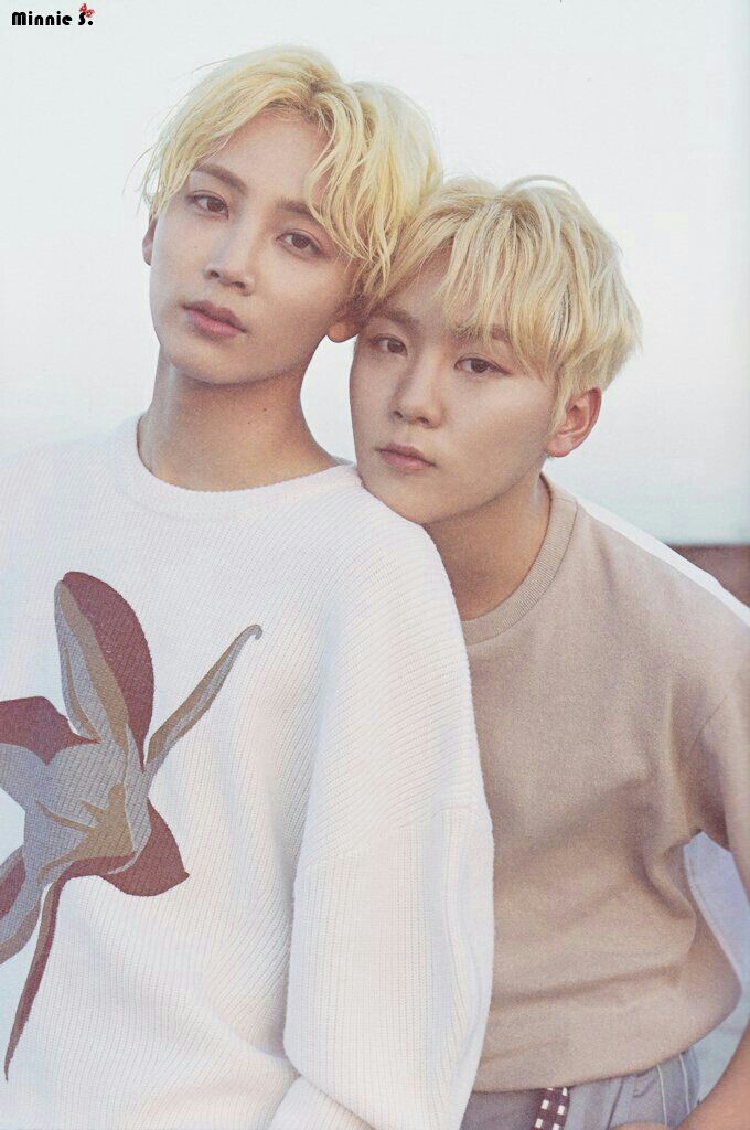 Jeonghan & Seungkwan