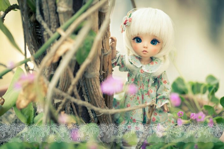 doll