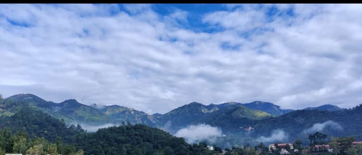 Weather