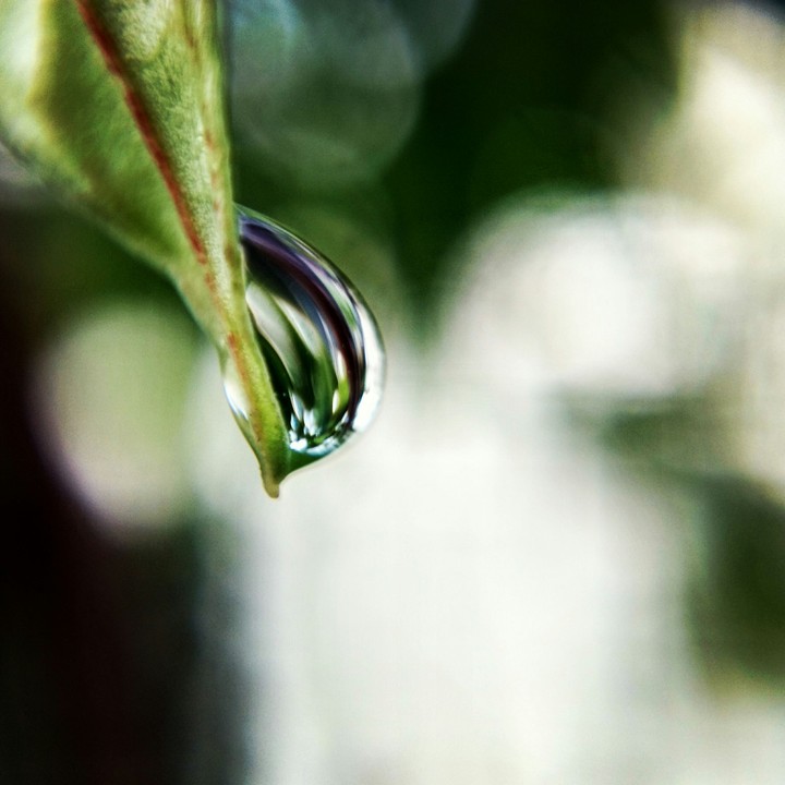 Water Droplet