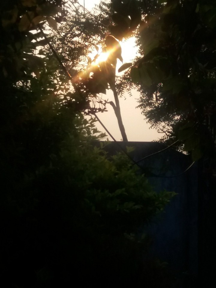 Sunrise