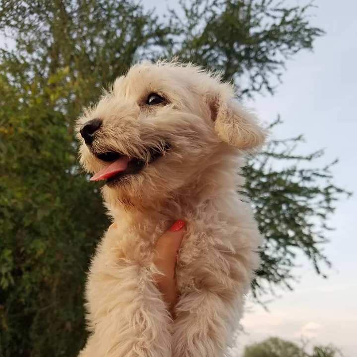 Fly.
