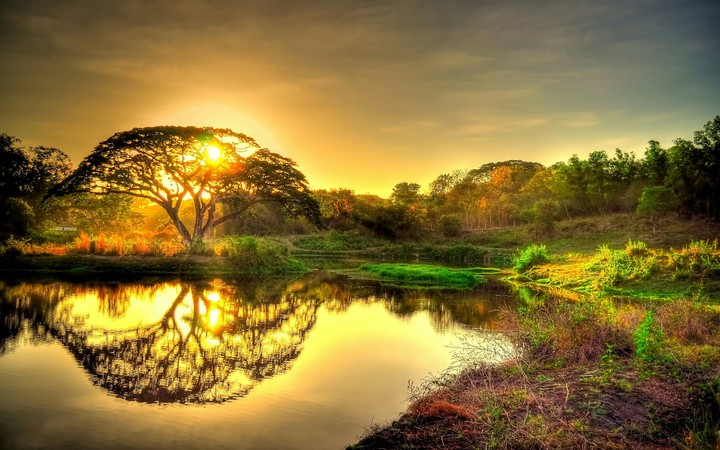 nature