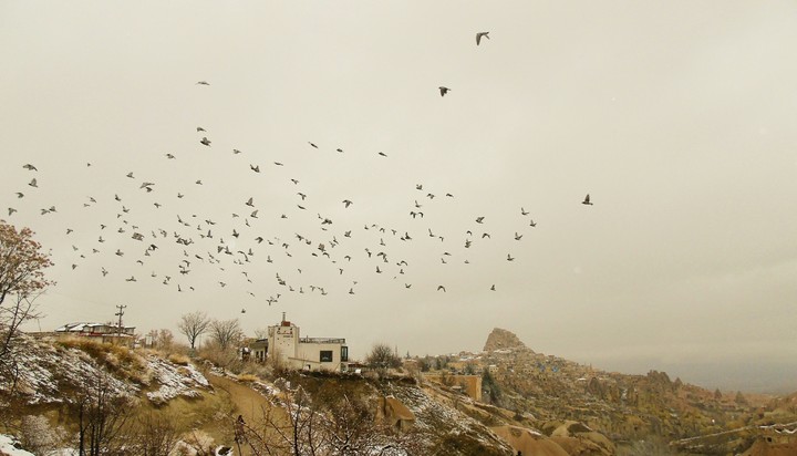 kapadokya