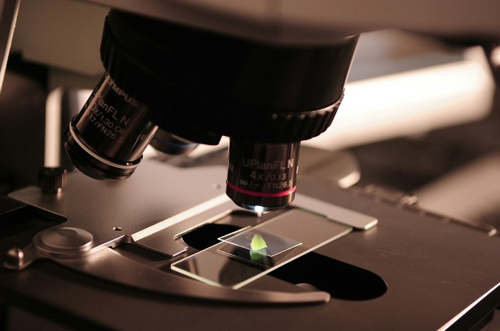 Biology (°o°)