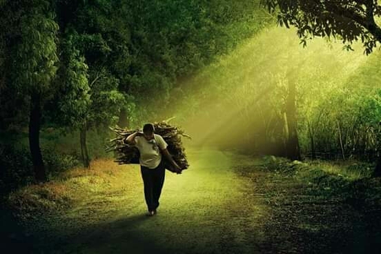 the beauty of Indonesia's nature