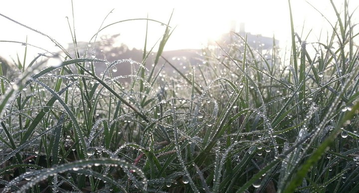 Winter Morning