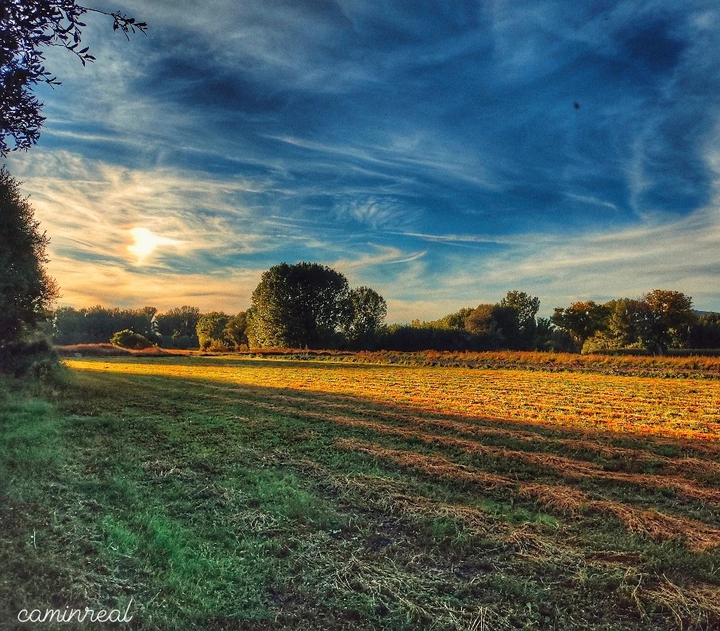 campo de alfaz