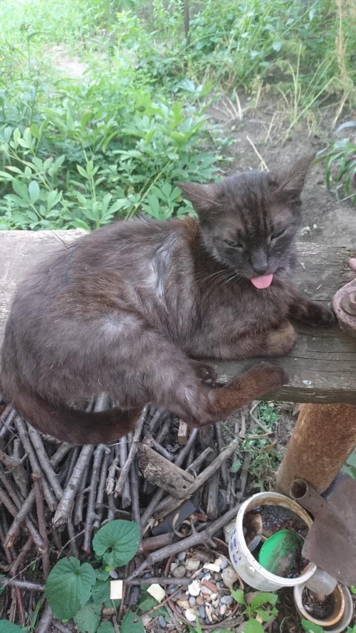на!