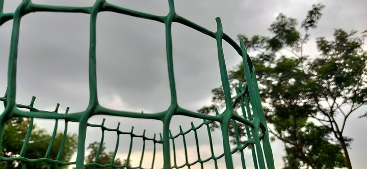 cage