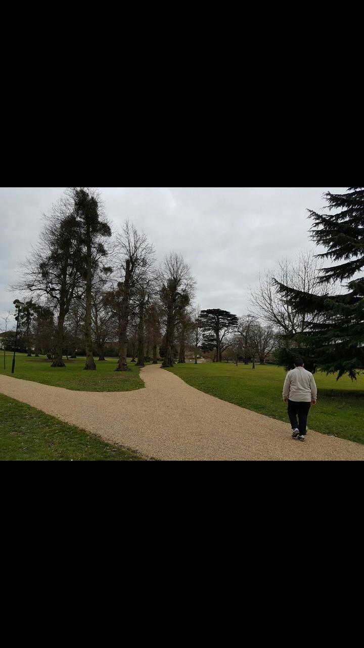 Park
