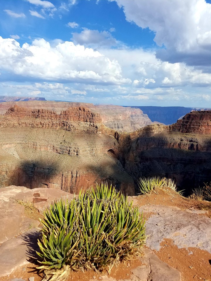 grand canyon