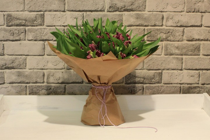 tulip parrot