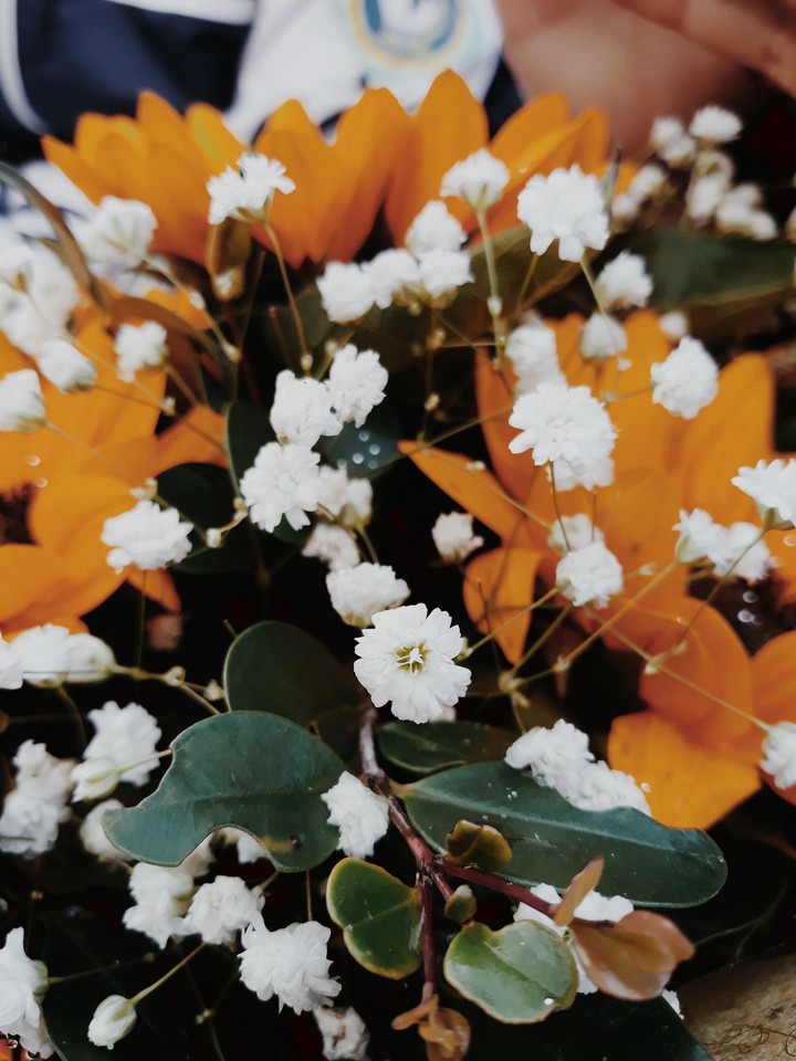 yes flower