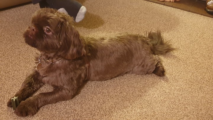 just chilling!!!