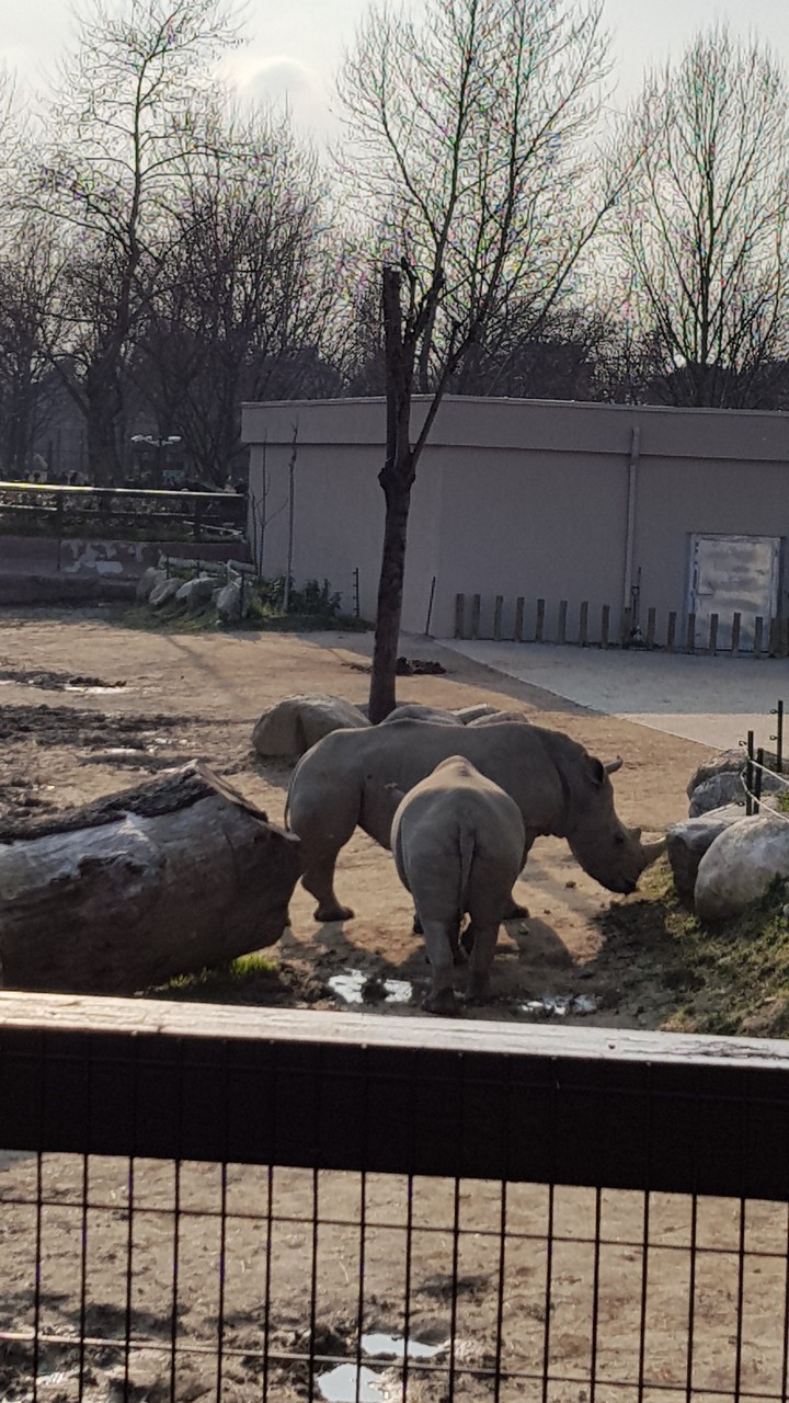 BURSA ZOO