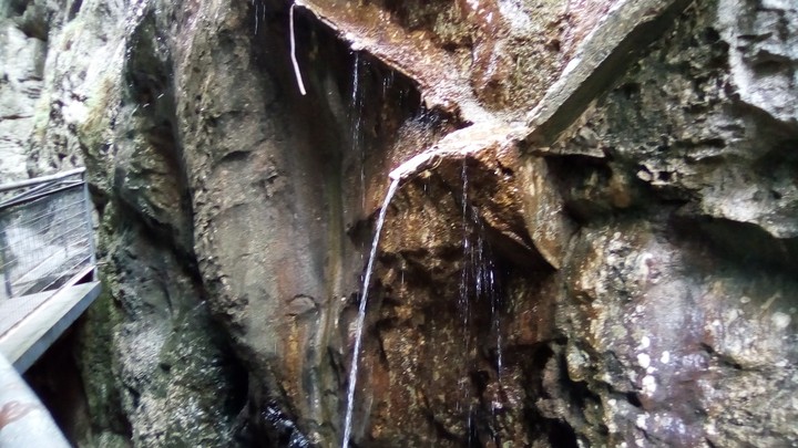 Cae hacia el río