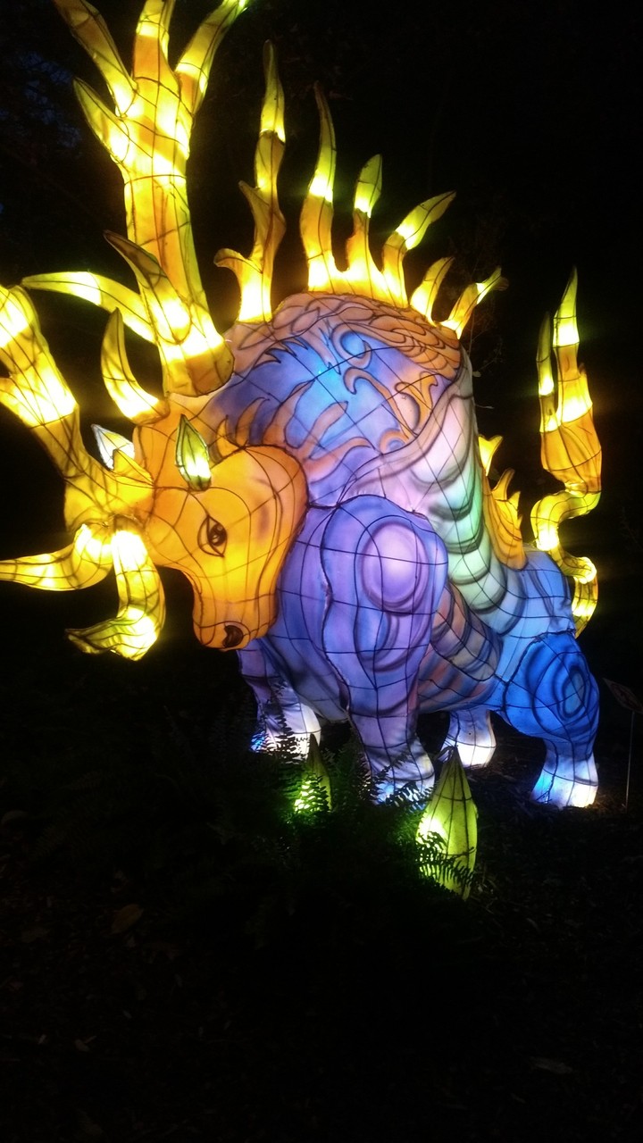 Taurus