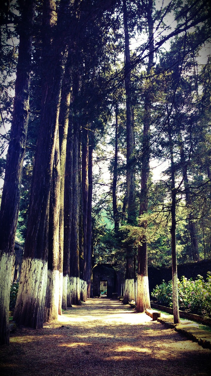 Nature