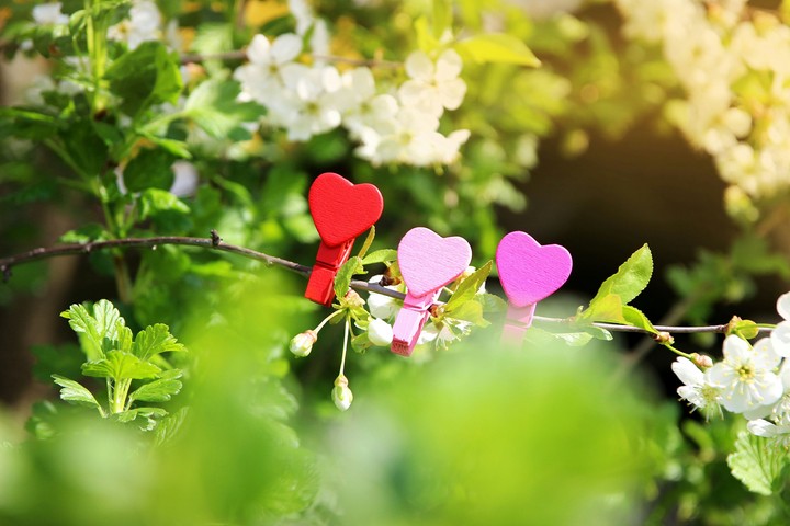 love
