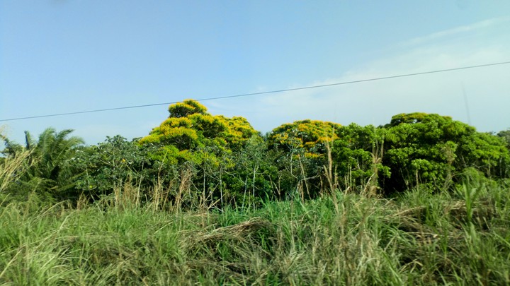 naturaleza