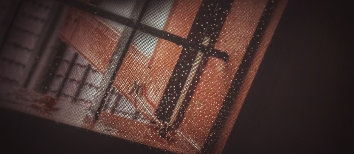 dewdrops