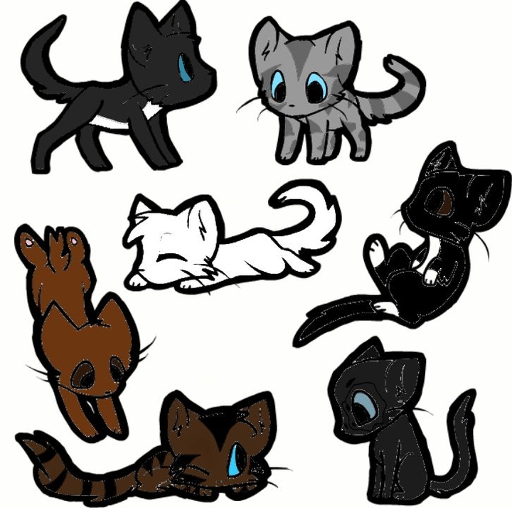 cats