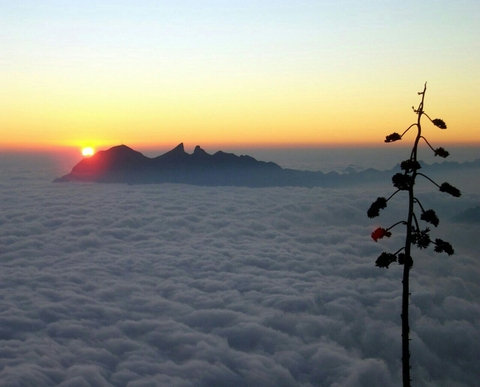 The "Cerro de la silla" Monterrey City, MX