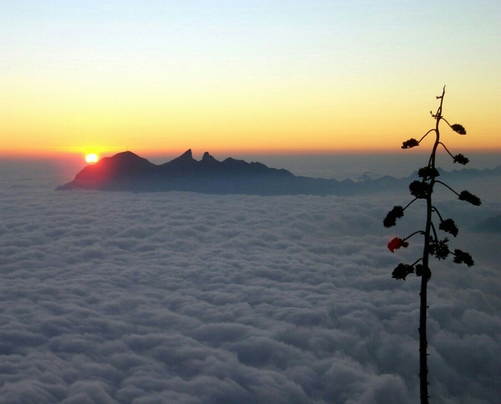 The "Cerro de la silla" Monterrey City, MX