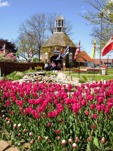 Dutch Village# Tulip, MI